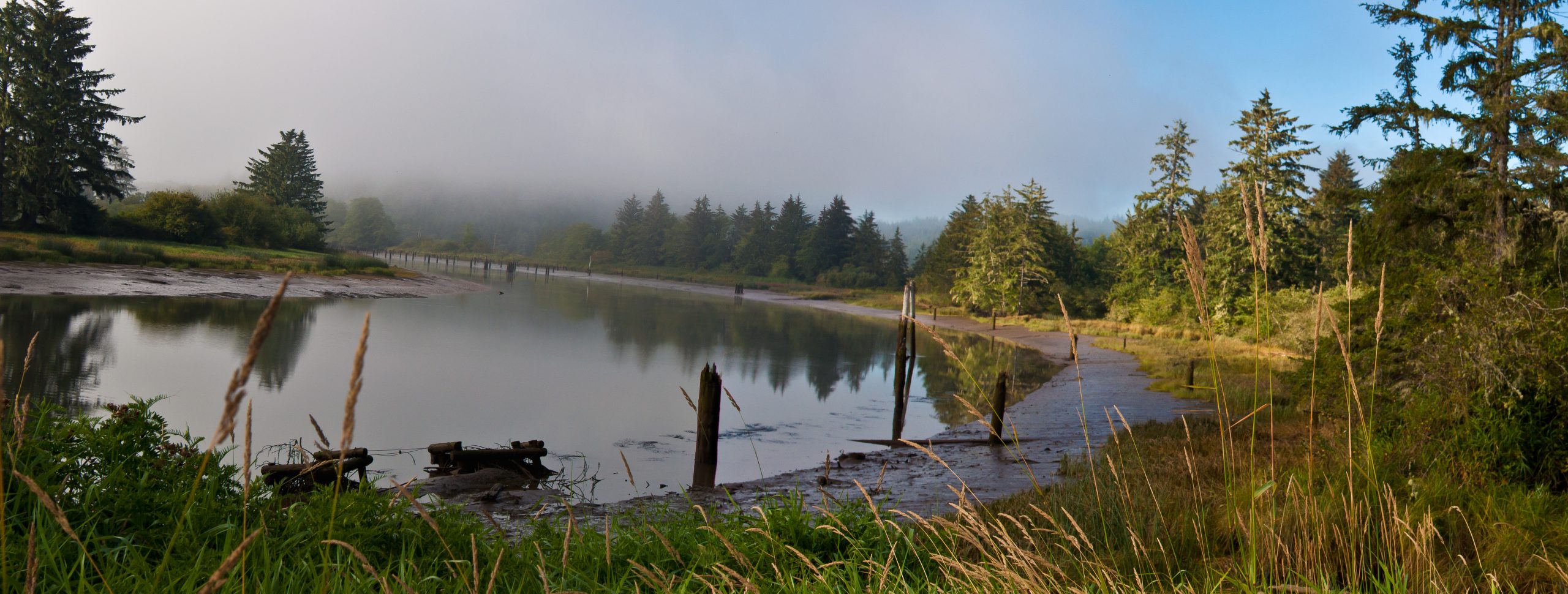 Bonneville Dam spilling water at the maximum allowable level of total dissolved gas saturation, Oregon, 2018. Photo credit  A. W.(Tony) Grover. 