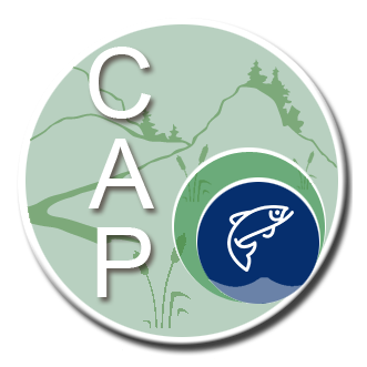 Logo for CAP no text