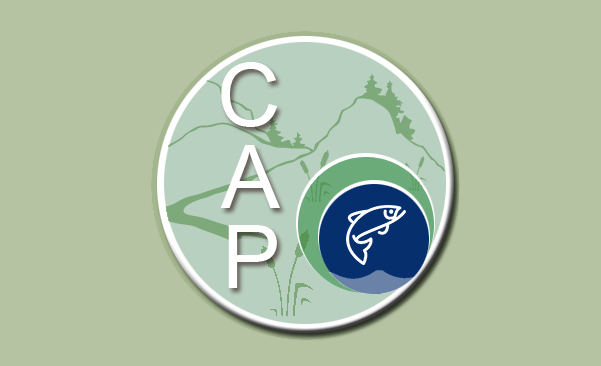 Icon for About CAP webpage