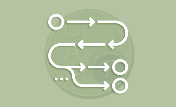 Icon for CAP Process​ webpage