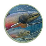 Icon for Bull Trout Upcoming HLI webpage