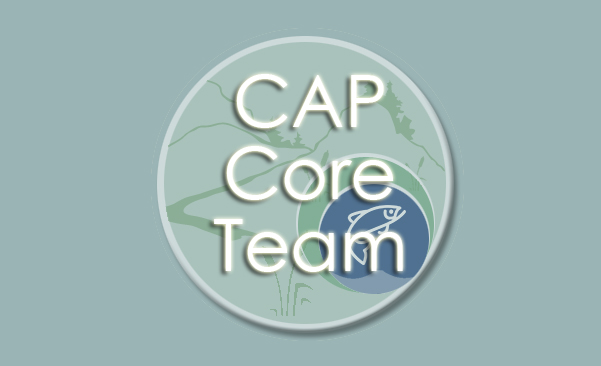 Icon for Cap Core Team webpage