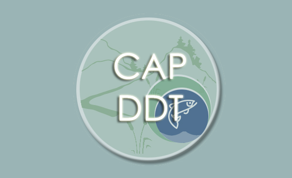 Icon for CAP DDT webpage