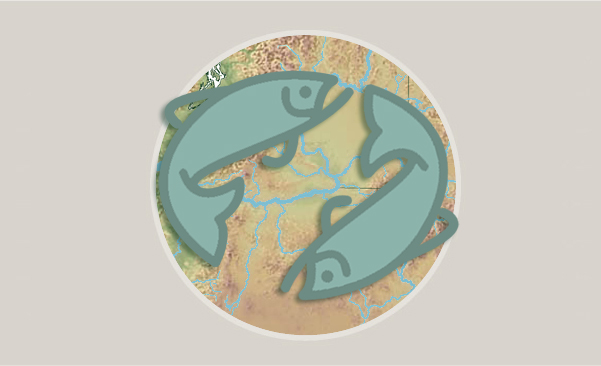 Icon for HSRG - Hatchery Reform webpage