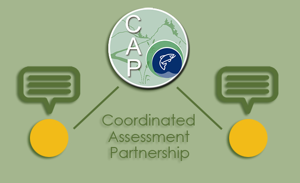 Icon for the Coordinated Assessments Partnership section of the website.