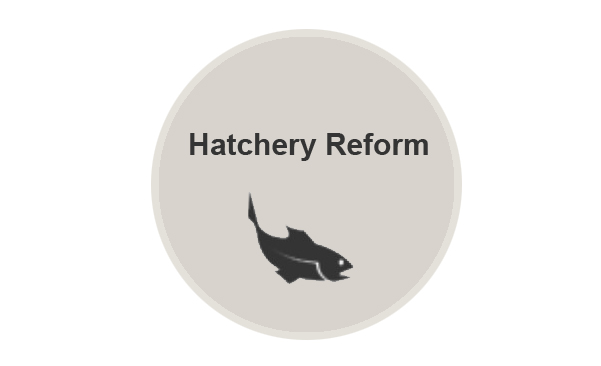 Logo for About Hatchery Reform webpage