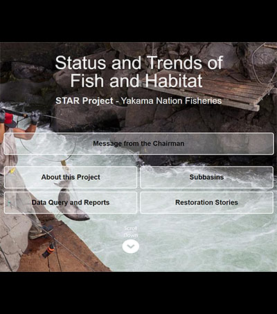 You are currently viewing Website Highlights Yakima Nation Salmon Recovery Efforts, Tracks Progress