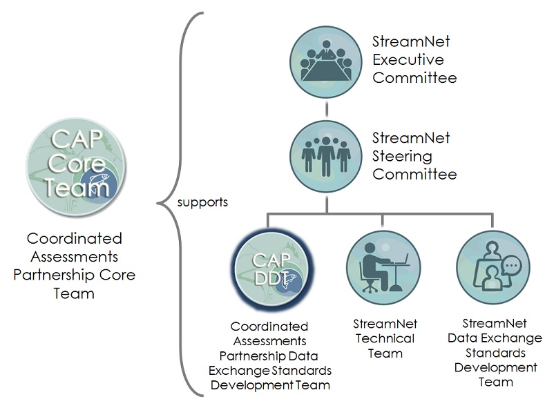 Diagram showing the relationships among the StreamNet Committees and Teams and the CAP Teams. The CAP Data Exchange Standards Development Team is on the bottom level with the other three teams .