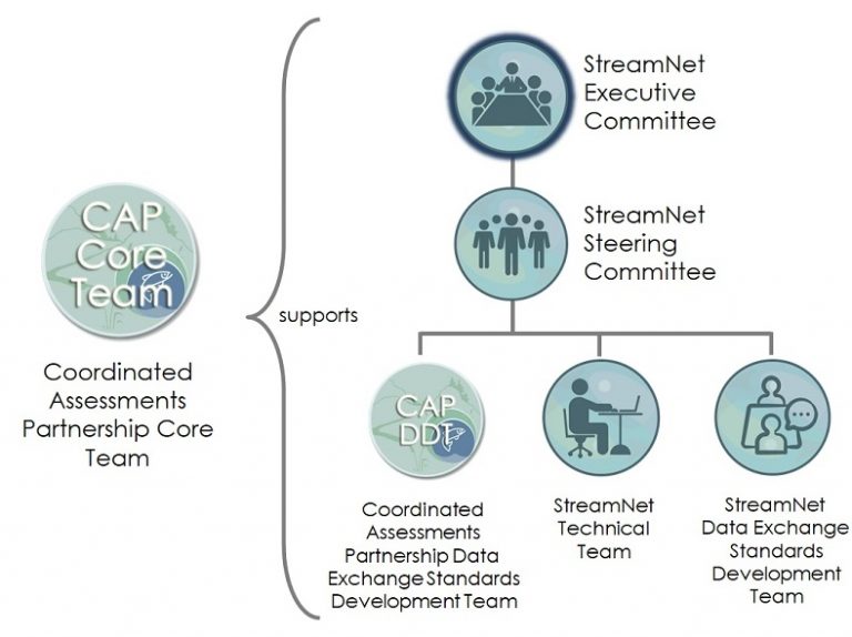 Diagram showing the relationships among the StreamNet Committees and Teams and the CAP Teams. The StreamNet Executive Committee is at the top of the hierarchy.