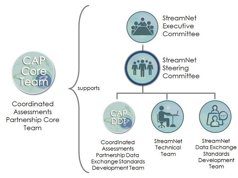 Diagram showing the relationships among the StreamNet Committees and Teams and the CAP Teams. The StreamNet Steering Committee is in the middle level below the StreamNet Executive Committee and above the Teams.