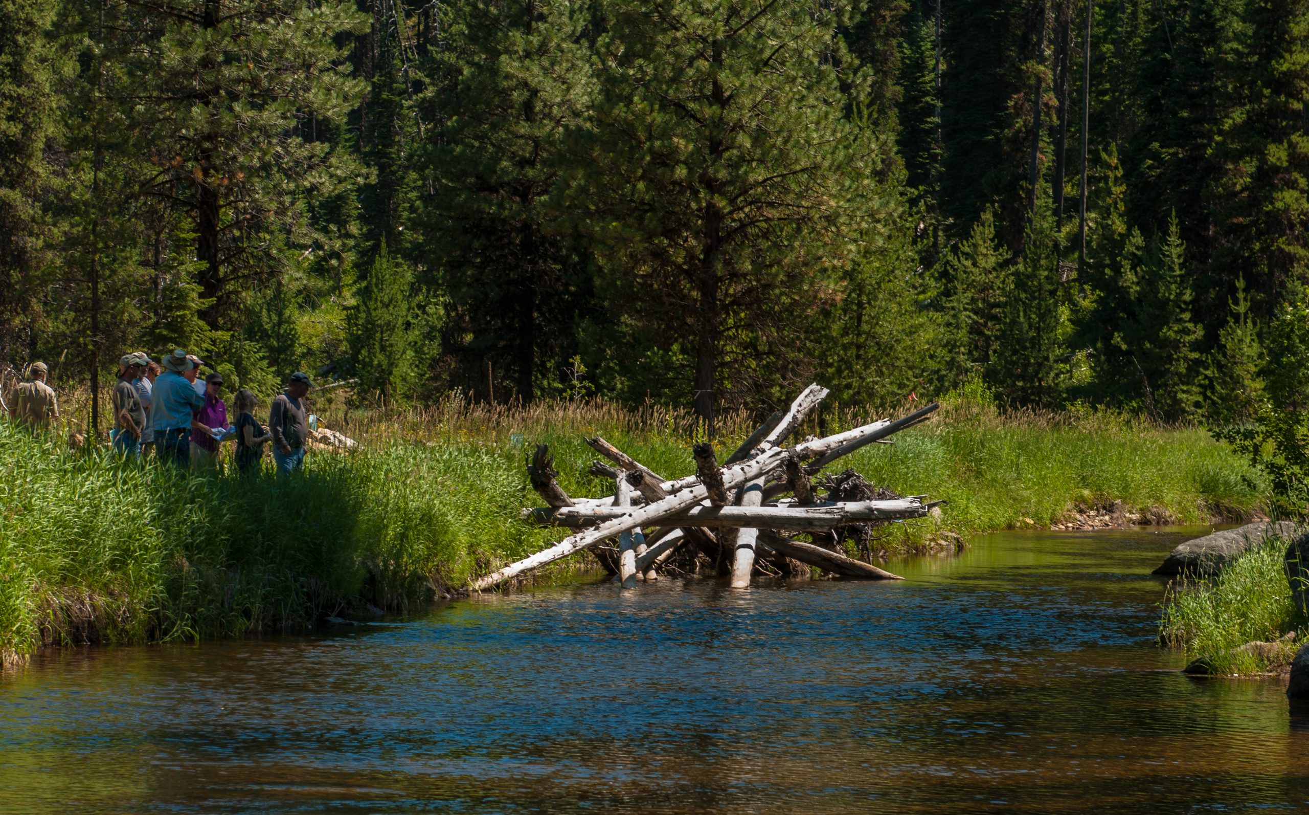 Restoring habitat by constructing a logjam, Idaho, 2012. Photo credit  A. W.(Tony) Grover.