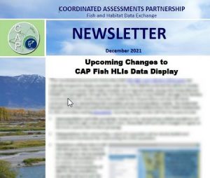 Read more about the article CAP Newsletter, Issue 3