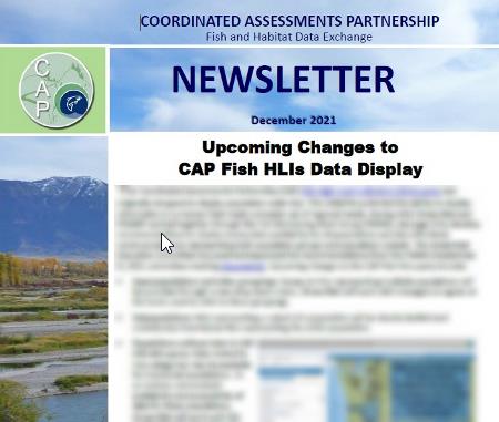 You are currently viewing CAP Newsletter, Issue 3