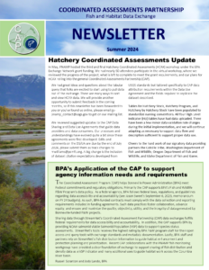 Read more about the article CAP Newsletter Summer 2024, Issue 7